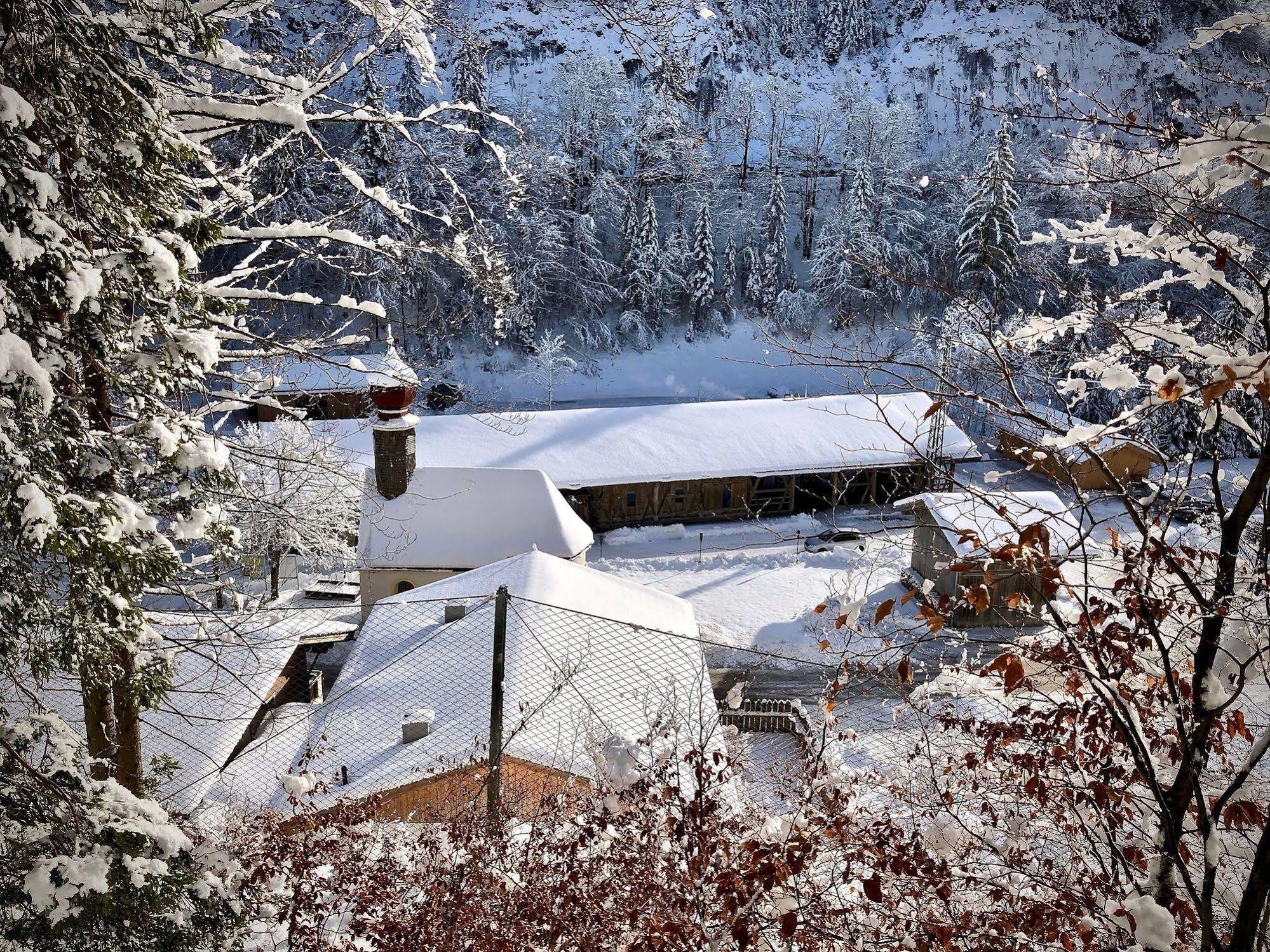 Gasthof Salzstadl Reutte Zewnętrze zdjęcie